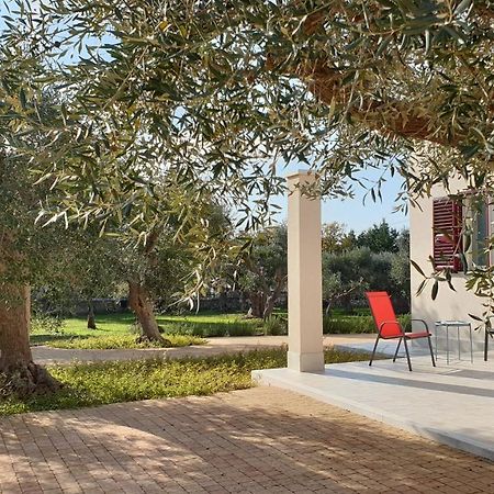 Tra Gli Ulivi Villa Putignano Kültér fotó