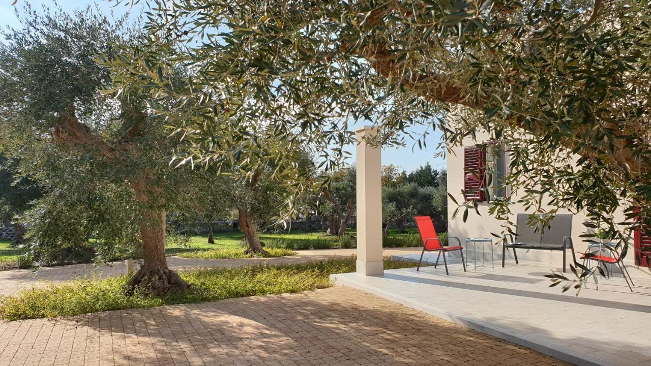 Tra Gli Ulivi Villa Putignano Kültér fotó